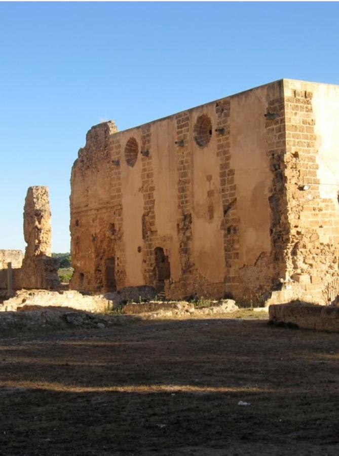 سيجوربي Masia De San Juan Casa Numero 1 En Castillo Con Piscina Y Aire Acondicionado المظهر الخارجي الصورة